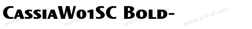 CassiaW01SC Bold字体转换
